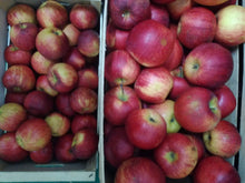 Load image into Gallery viewer, Apple and Cinnamon Jam Giapas Le Conserve Di Montelepre