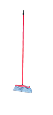 Italian broom